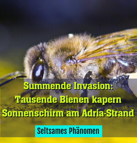 Seltsames Phänomen