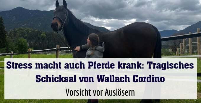 Vorsicht vor Auslösern