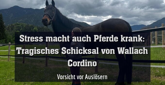 Vorsicht vor Auslösern
