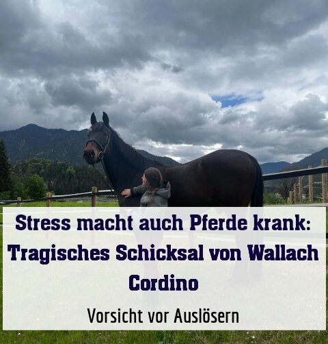 Vorsicht vor Auslösern