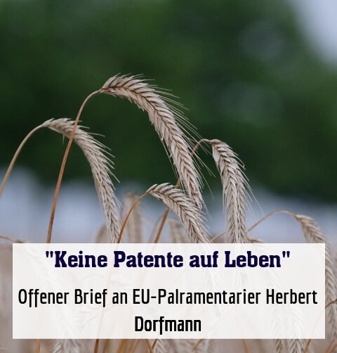 Offener Brief an EU-Palramentarier Herbert Dorfmann