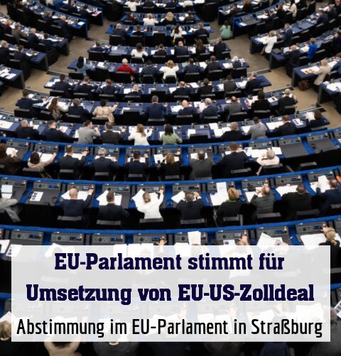 Abstimmung im EU-Parlament in Straßburg