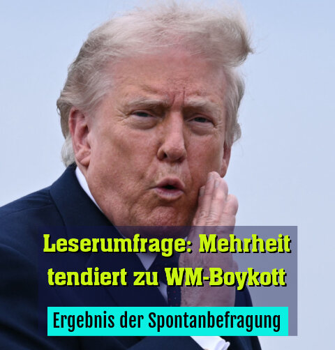 Ergebnis der Spontanbefragung