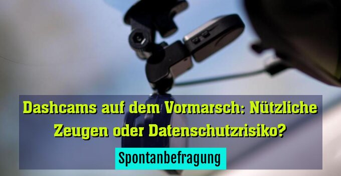 Spontanbefragung