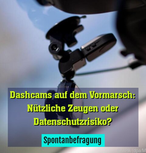 Spontanbefragung