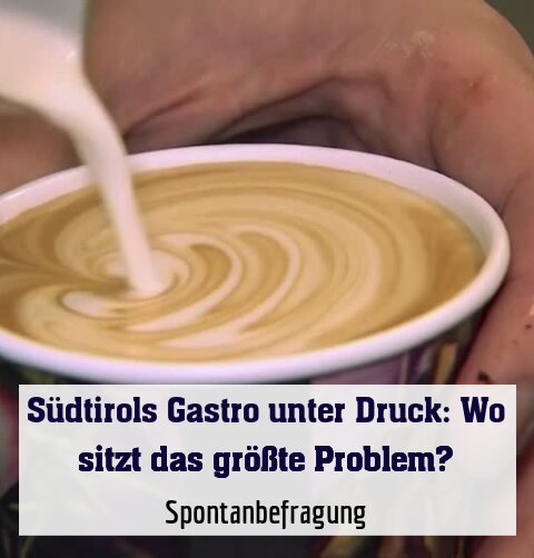 Spontanbefragung