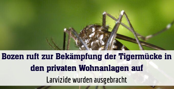 Larvizide wurden ausgebracht