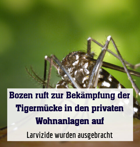 Larvizide wurden ausgebracht