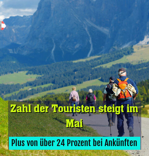 Plus von über 24 Prozent bei Ankünften