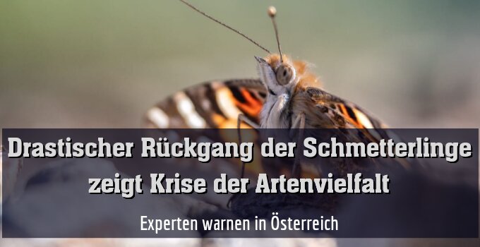 Experten warnen in Österreich