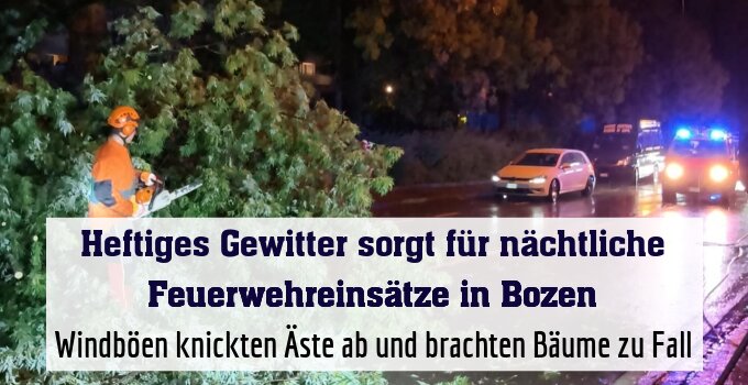 Windböen knickten Äste ab und brachten Bäume zu Fall