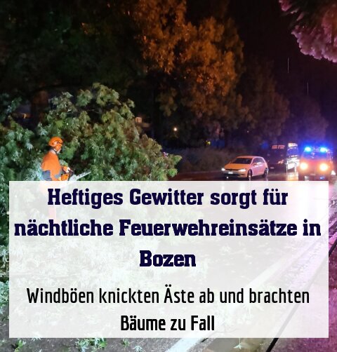 Windböen knickten Äste ab und brachten Bäume zu Fall