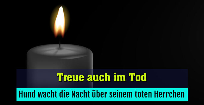 Hund wacht die Nacht über seinem toten Herrchen