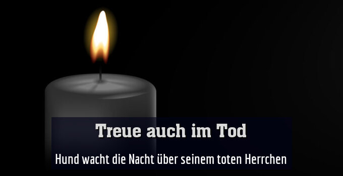Hund wacht die Nacht über seinem toten Herrchen