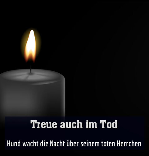 Hund wacht die Nacht über seinem toten Herrchen