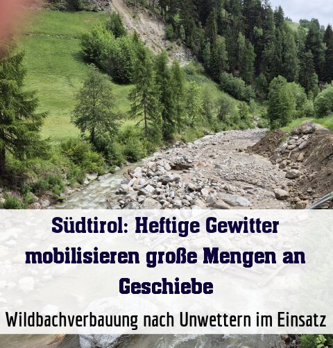 Wildbachverbauung nach Unwettern im Einsatz