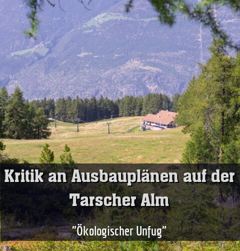 "Ökologischer Unfug"