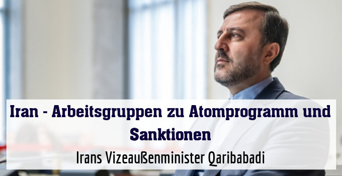 Irans Vizeaußenminister Qaribabadi