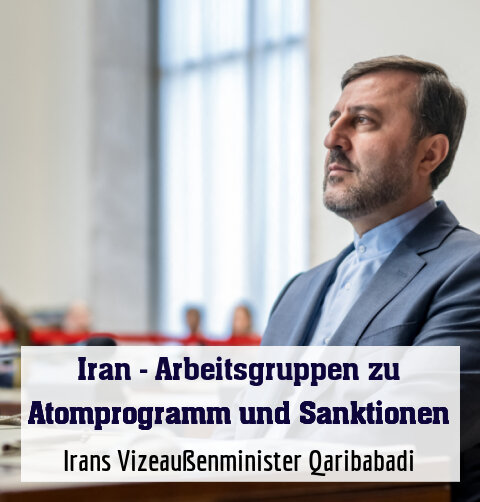 Irans Vizeaußenminister Qaribabadi