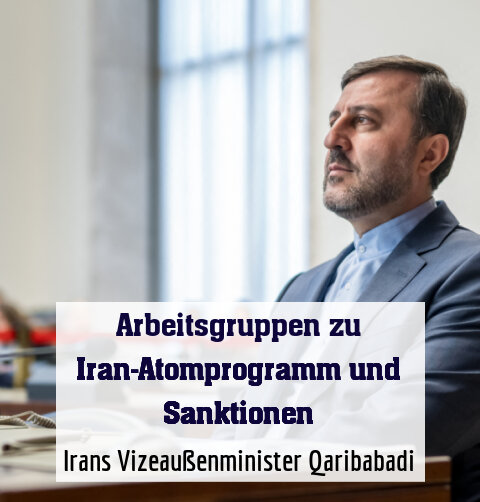 Irans Vizeaußenminister Qaribabadi