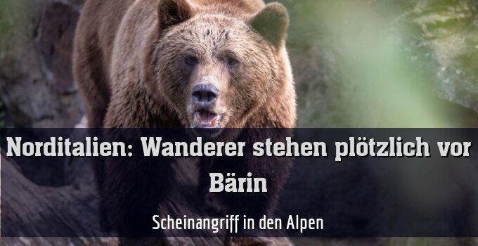 Scheinangriff in den Alpen
