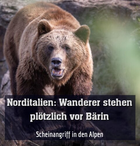 Scheinangriff in den Alpen
