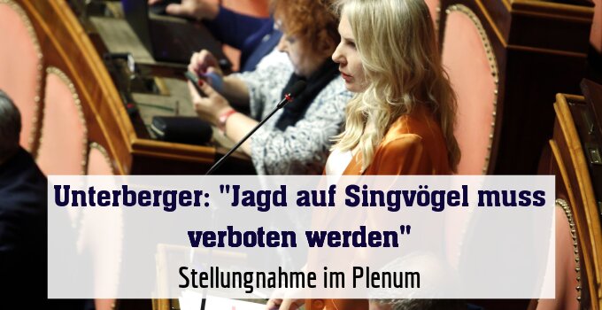 Stellungnahme im Plenum