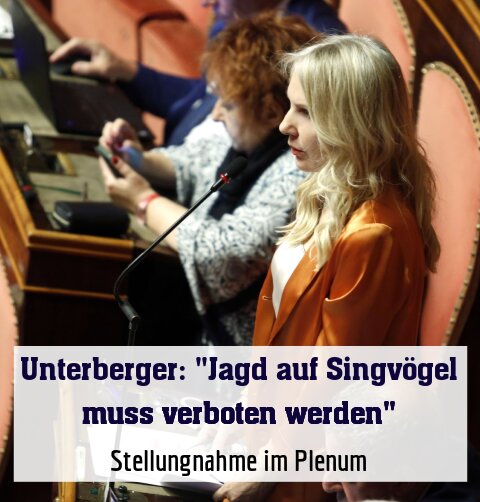 Stellungnahme im Plenum