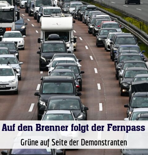Grüne auf Seite der Demonstranten