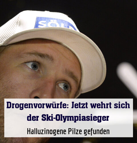 Halluzinogene Pilze gefunden