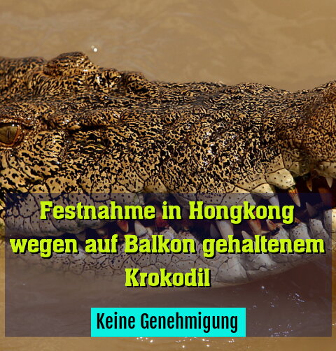 Keine Genehmigung