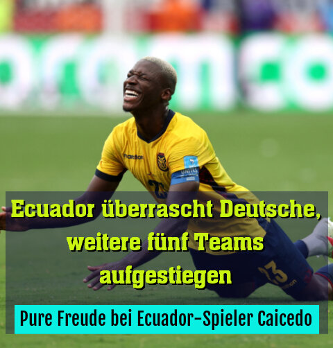 Pure Freude bei Ecuador-Spieler Caicedo