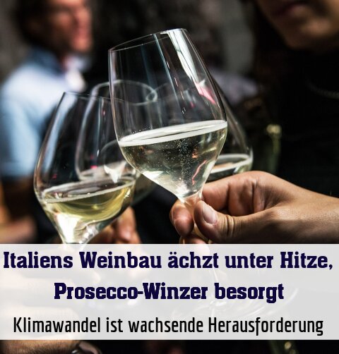 Klimawandel ist wachsende Herausforderung