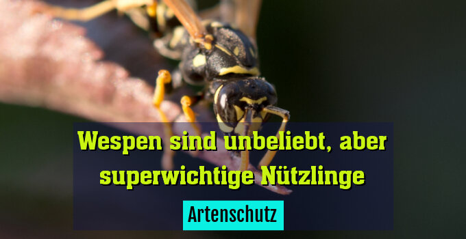 Artenschutz