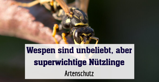 Artenschutz