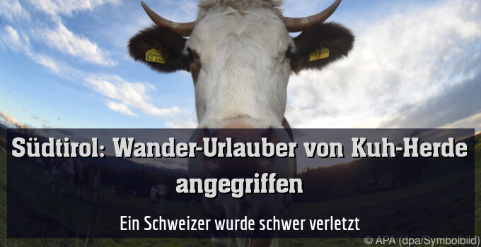 Ein Schweizer wurde schwer verletzt