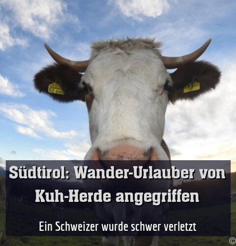 Ein Schweizer wurde schwer verletzt