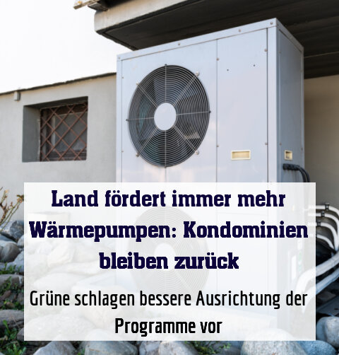Grüne schlagen bessere Ausrichtung der Programme vor
