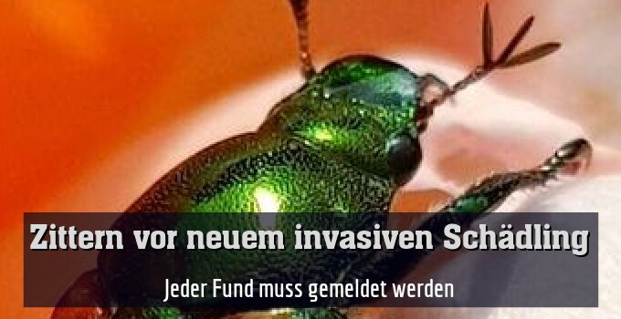 Jeder Fund muss gemeldet werden