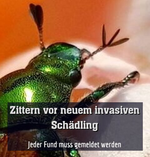 Jeder Fund muss gemeldet werden