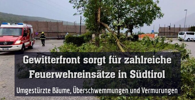 Umgestürzte Bäume, Überschwemmungen und Vermurungen