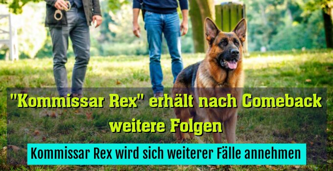 Kommissar Rex wird sich weiterer Fälle annehmen