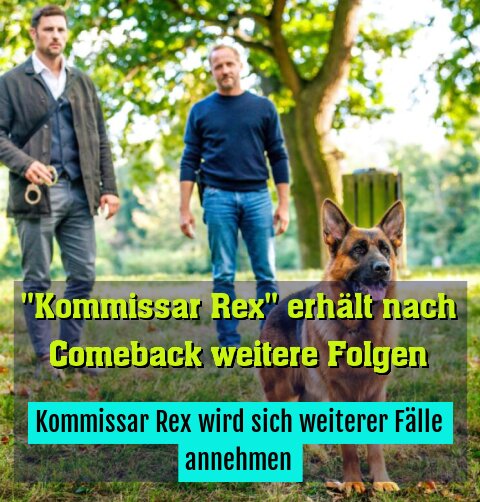Kommissar Rex wird sich weiterer Fälle annehmen