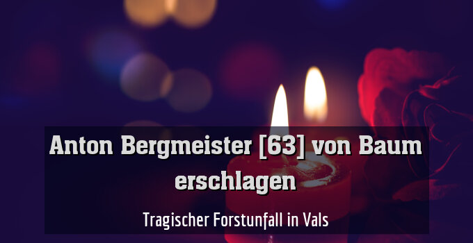 Tragischer Forstunfall in Vals