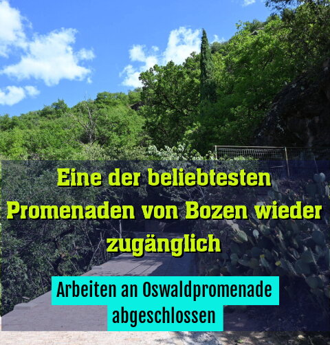 Arbeiten an Oswaldpromenade abgeschlossen