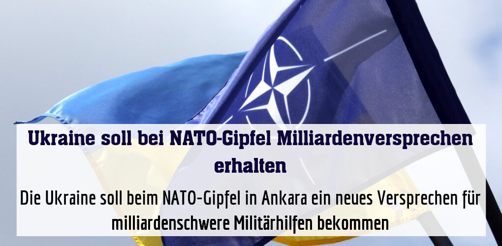 Die Ukraine soll beim NATO-Gipfel in Ankara ein neues Versprechen für milliardenschwere Militärhilfen bekommen