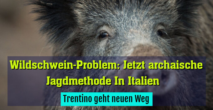 Trentino geht neuen Weg