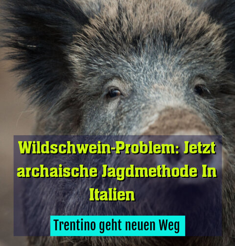 Trentino geht neuen Weg