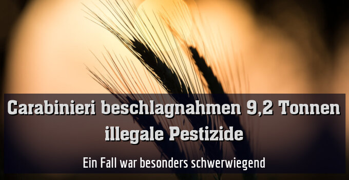 Ein Fall war besonders schwerwiegend