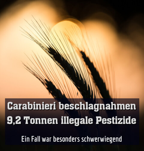 Ein Fall war besonders schwerwiegend
